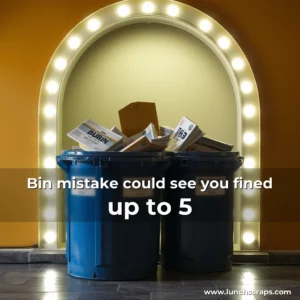 Artistic representation for Bin mistake could see you fined up to 5