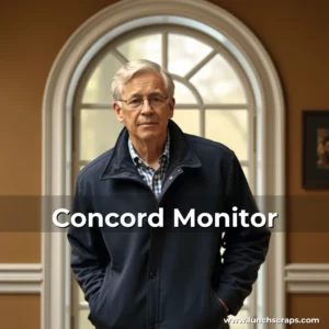 Artistic representation for Concord Monitor